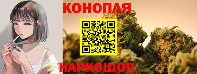 соль ск Будённовск