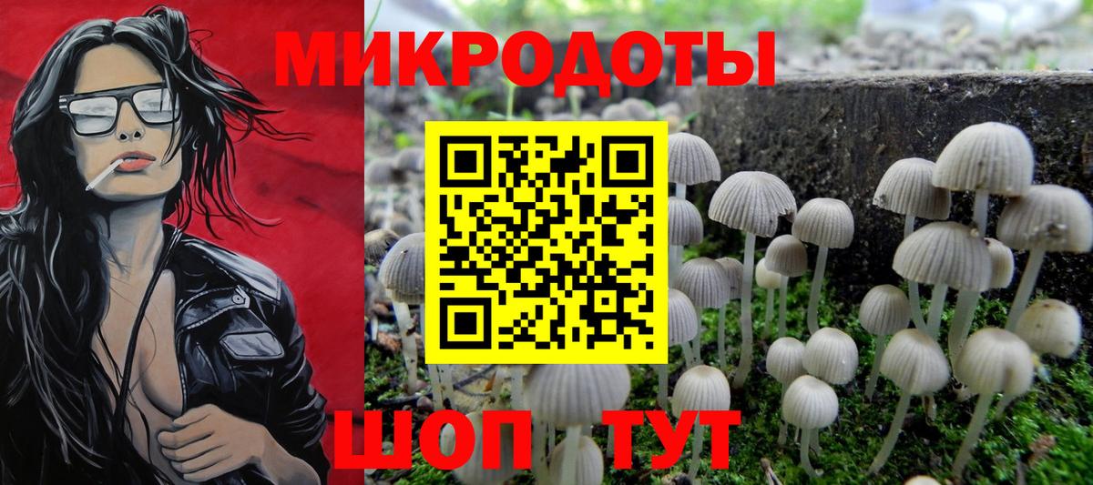 Мурино  Псилоцибиновые грибы MAGIC MUSHROOMS  Вход с VPN 