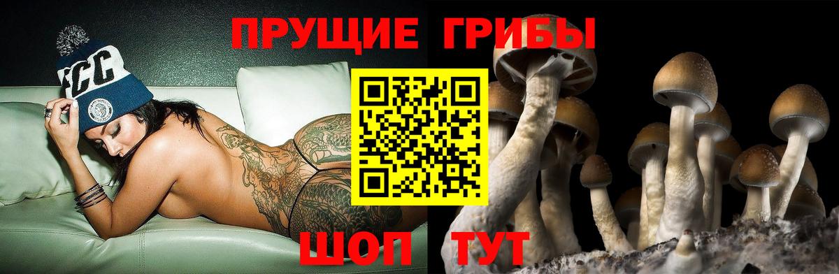 Псилоцибиновые грибы мухоморы Мурино