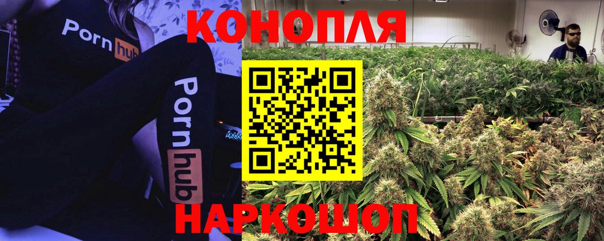 Шишки марихуана White Widow  Вход с VPN  МАРИХУАНА SATIVA & INDICA  Бошки марихуана сатива  Мурино 